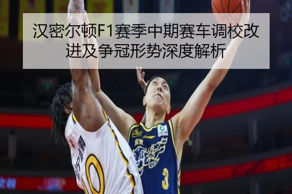 汉密尔顿F1赛季中期赛车调校改进及争冠形势深度解析